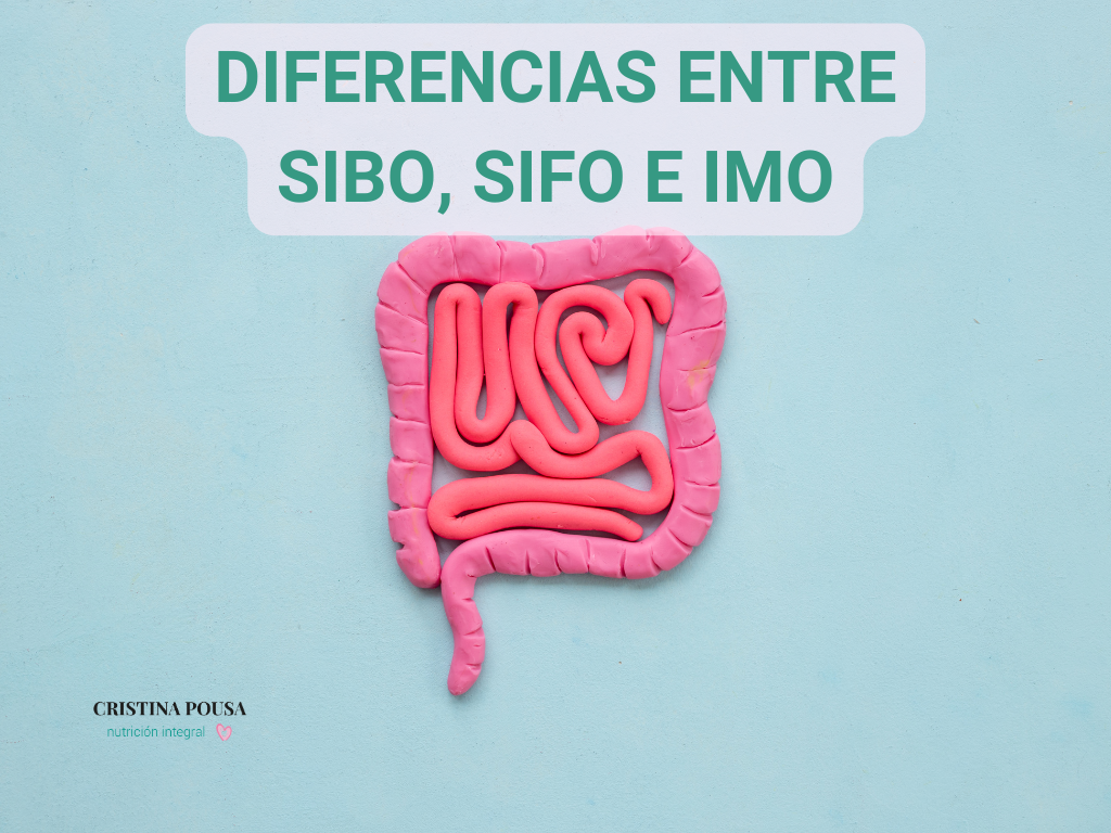 SIBO, SIFO E IMO. Descubre qué está afectando tu digestión - Cristina ...